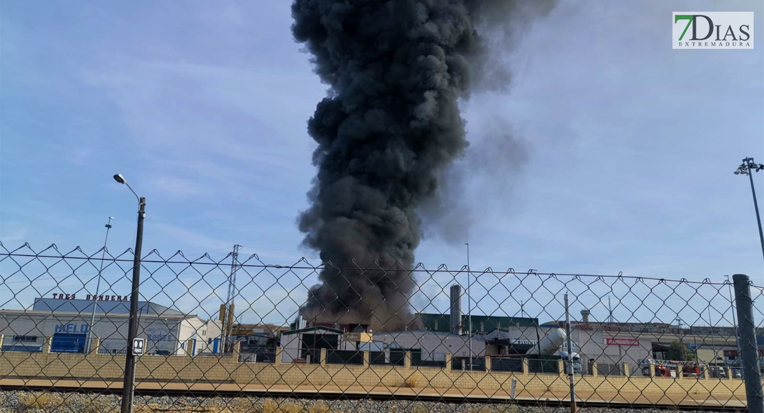 Imágenes del grave incendio en la Panificadora