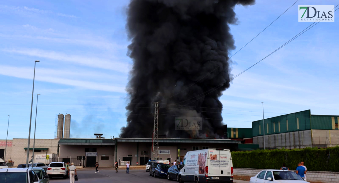 Imágenes del grave incendio en la Panificadora