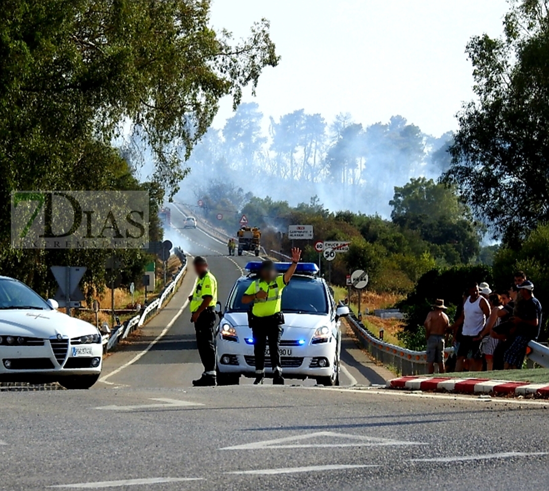 Imágenes del incendio de Alcuéscar (CC)