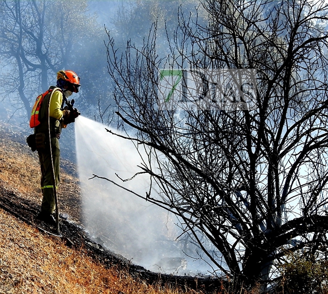 Imágenes del incendio de Alcuéscar (CC)