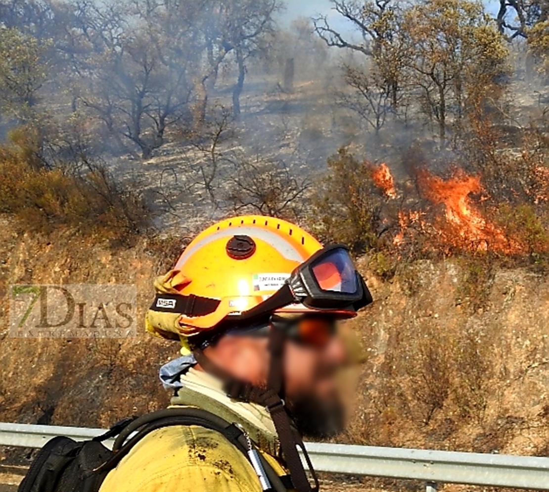 Imágenes del incendio de Alcuéscar (CC)