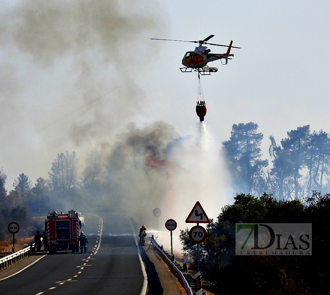 Imágenes del incendio de Alcuéscar (CC)