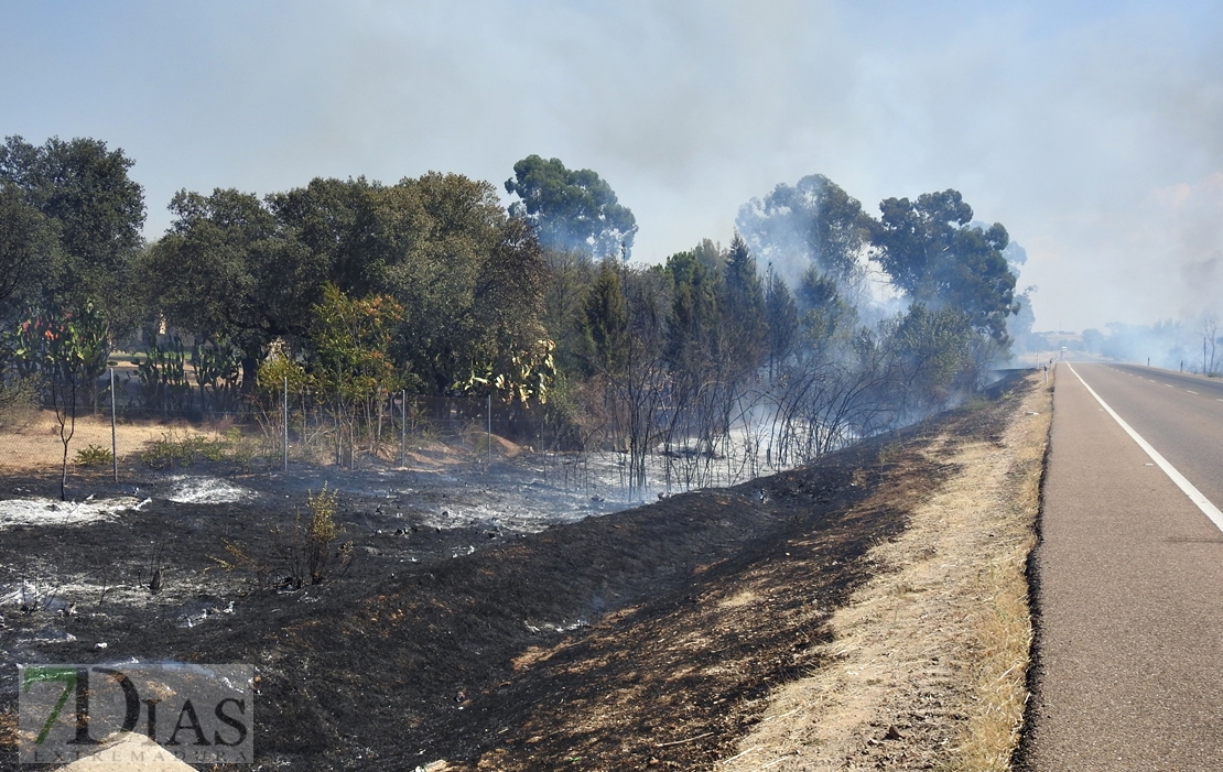 Imágenes del incendio en la Nacional 432 (Badajoz)