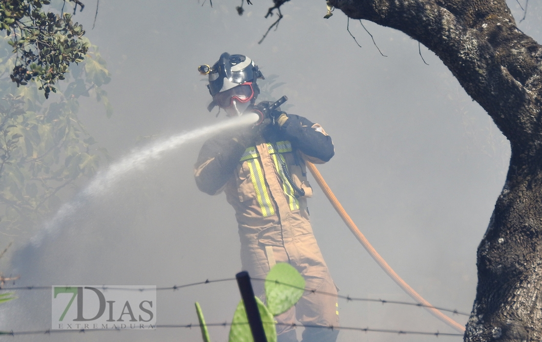 Imágenes del incendio en la Nacional 432 (Badajoz)