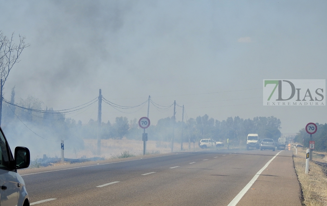 Imágenes del incendio en la Nacional 432 (Badajoz)