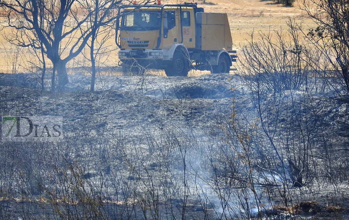 Imágenes del incendio en la Nacional 432 (Badajoz)