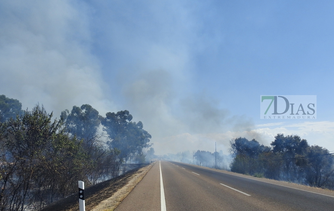 Imágenes del incendio en la Nacional 432 (Badajoz)