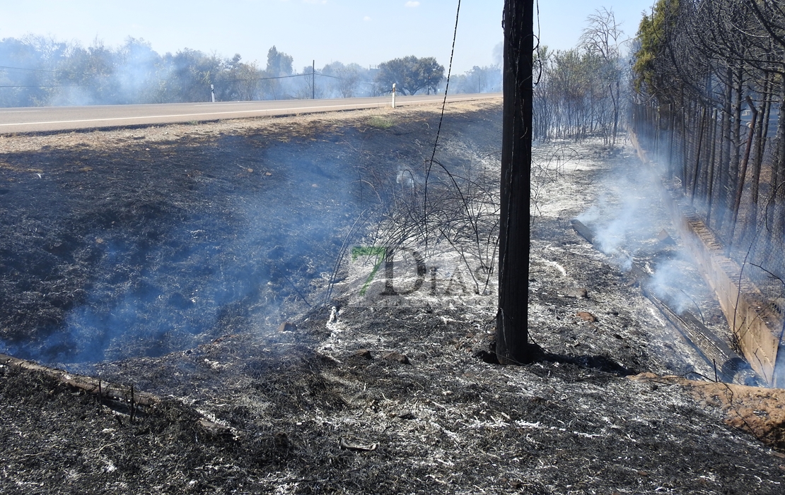 Imágenes del incendio en la Nacional 432 (Badajoz)