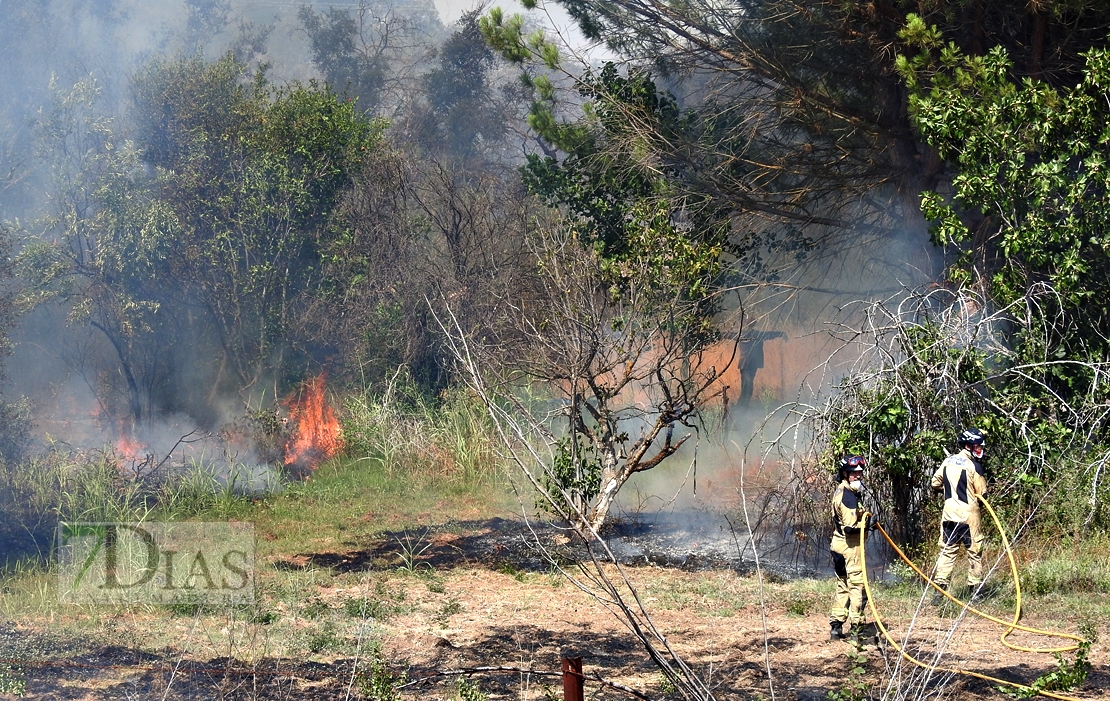 Imágenes del incendio en la Nacional 432 (Badajoz)