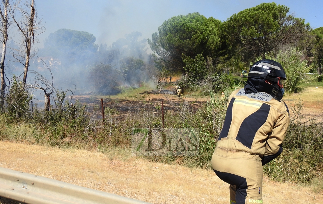 Imágenes del incendio en la Nacional 432 (Badajoz)