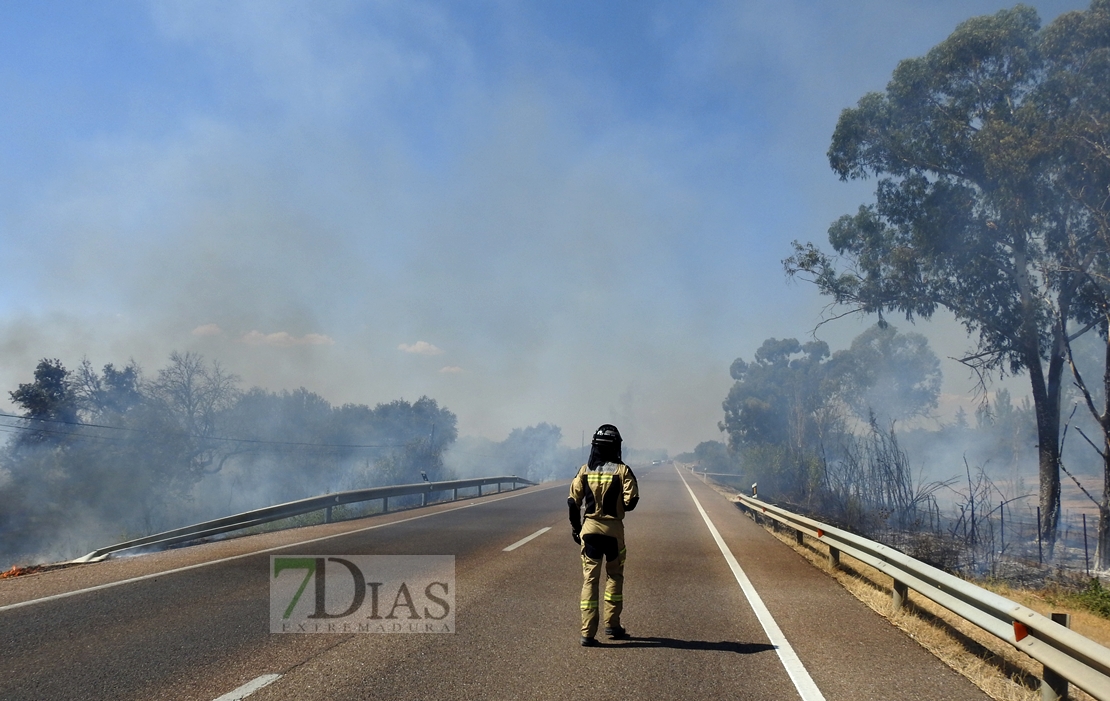 Imágenes del incendio en la Nacional 432 (Badajoz)