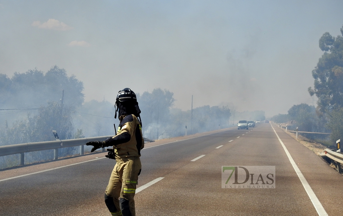 Imágenes del incendio en la Nacional 432 (Badajoz)