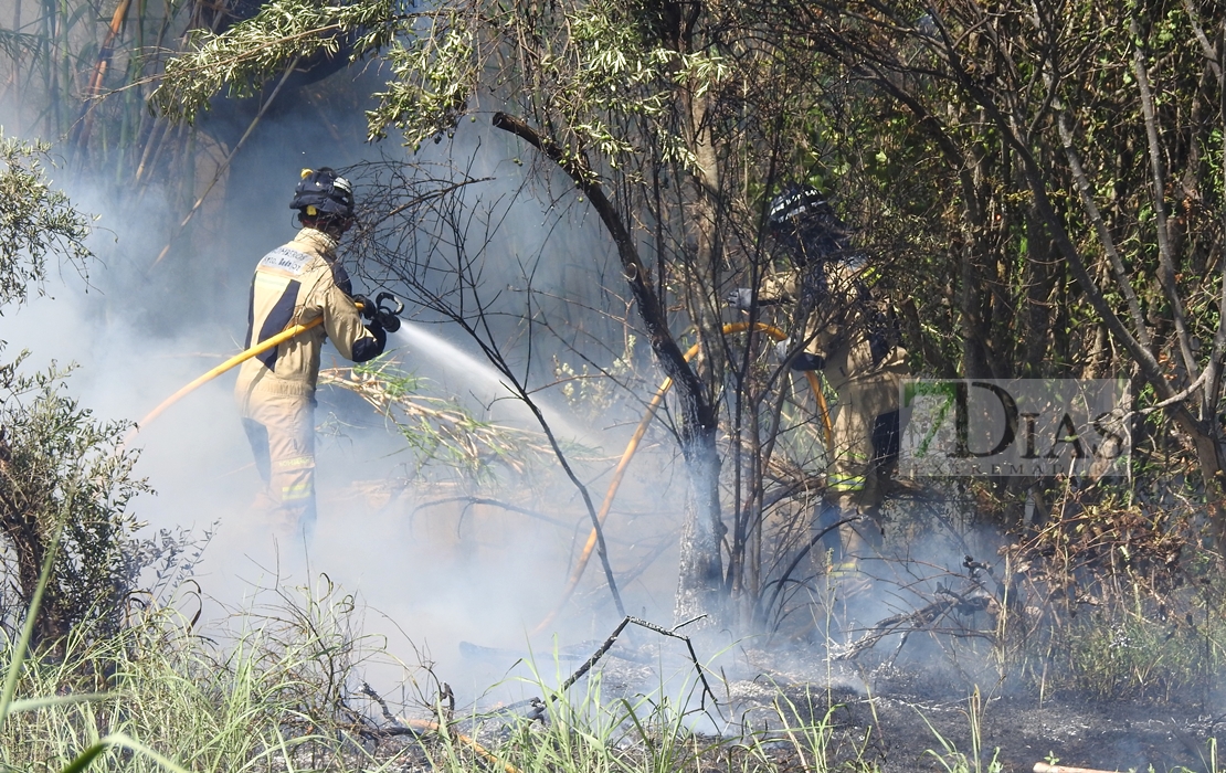 Imágenes del incendio en la Nacional 432 (Badajoz)