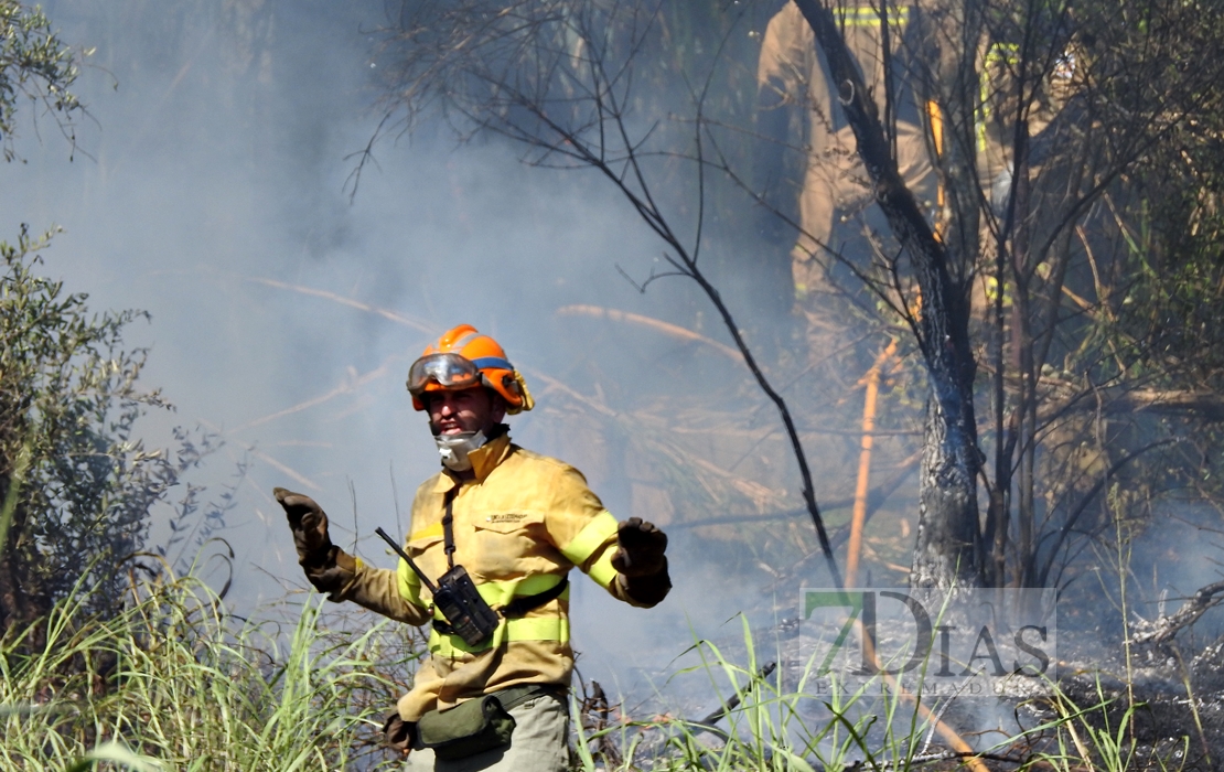 Imágenes del incendio en la Nacional 432 (Badajoz)