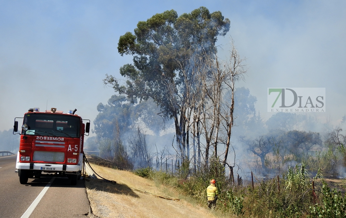 Imágenes del incendio en la Nacional 432 (Badajoz)