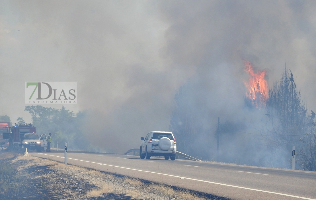 Imágenes del incendio en la Nacional 432 (Badajoz)