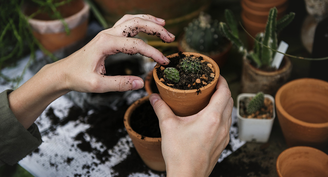El Museo Itinerante de Medio Ambiente comienza su temporada en Valdecaballeros