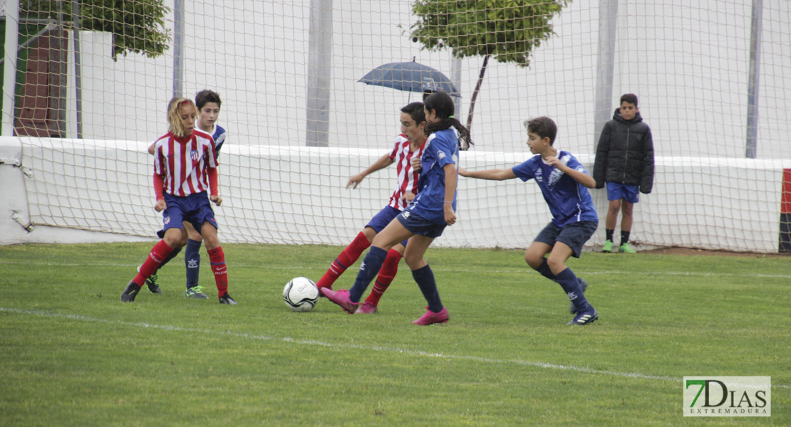 Imágenes de la 1ª jornada del V Torneo Internacional de fútbol infantil Ciudad de Talavera la Real