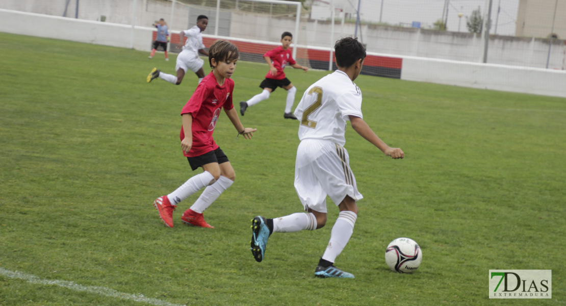 Imágenes de la 1ª jornada del V Torneo Internacional de fútbol infantil Ciudad de Talavera la Real