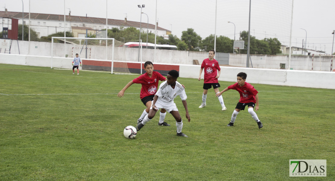 Imágenes de la 1ª jornada del V Torneo Internacional de fútbol infantil Ciudad de Talavera la Real