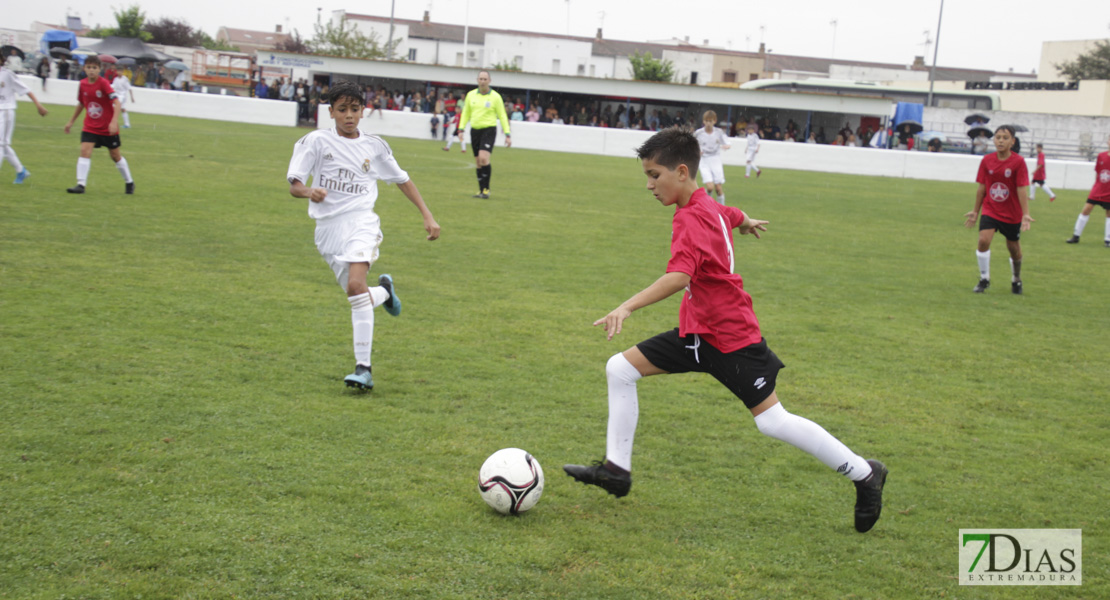 Imágenes de la 1ª jornada del V Torneo Internacional de fútbol infantil Ciudad de Talavera la Real