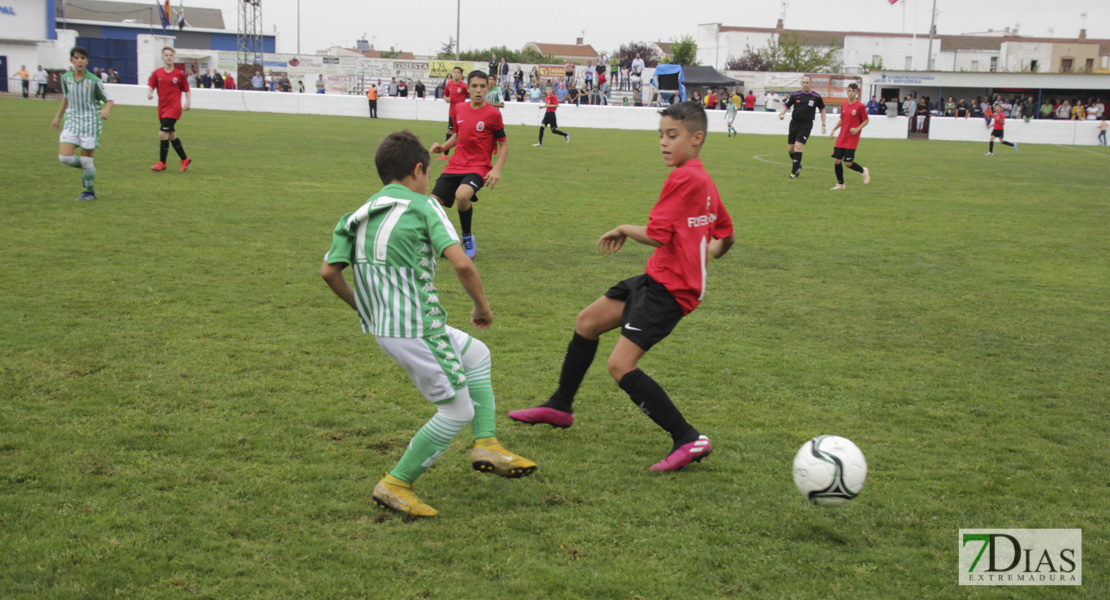 Imágenes de la 1ª jornada del V Torneo Internacional de fútbol infantil Ciudad de Talavera la Real