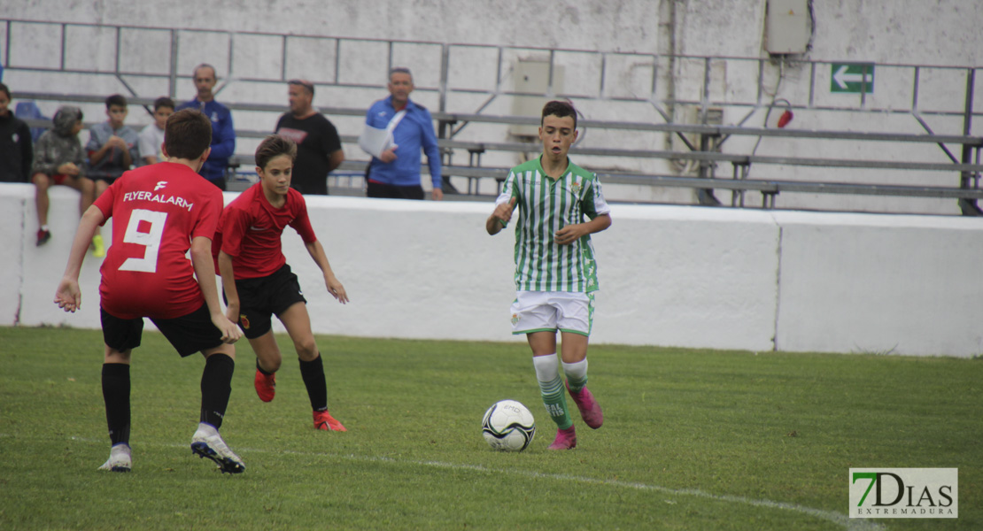 Imágenes de la 1ª jornada del V Torneo Internacional de fútbol infantil Ciudad de Talavera la Real