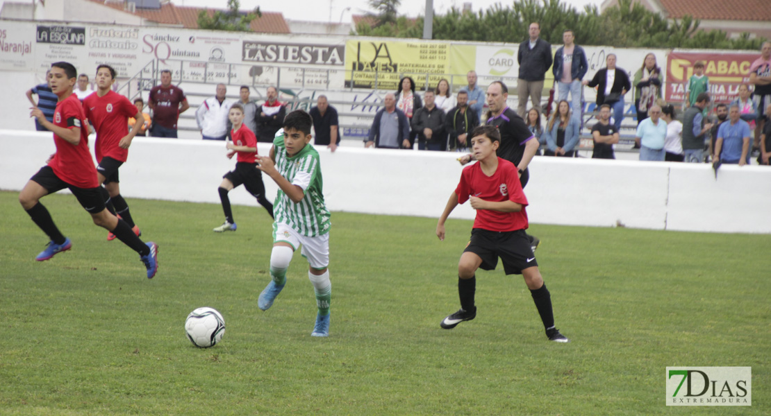 Imágenes de la 1ª jornada del V Torneo Internacional de fútbol infantil Ciudad de Talavera la Real