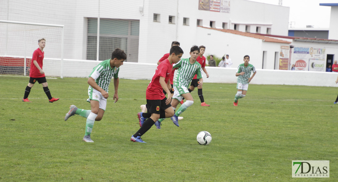 Imágenes de la 1ª jornada del V Torneo Internacional de fútbol infantil Ciudad de Talavera la Real