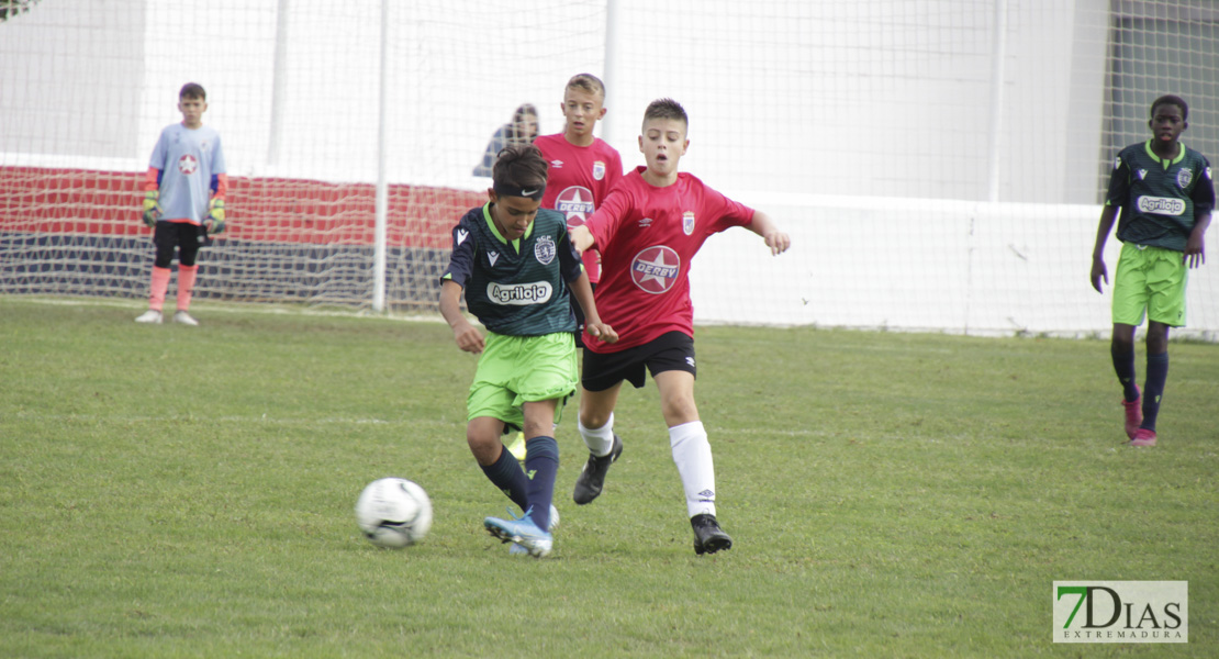 Imágenes del último día del V Torneo Internacional de fútbol infantil Ciudad de Talavera