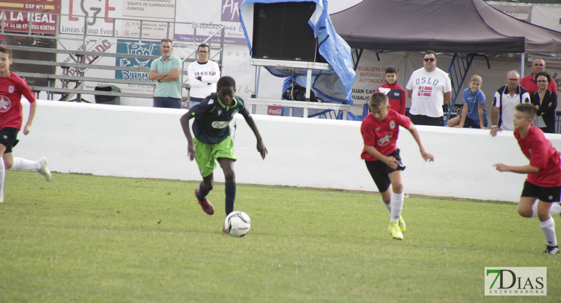 Imágenes del último día del V Torneo Internacional de fútbol infantil Ciudad de Talavera