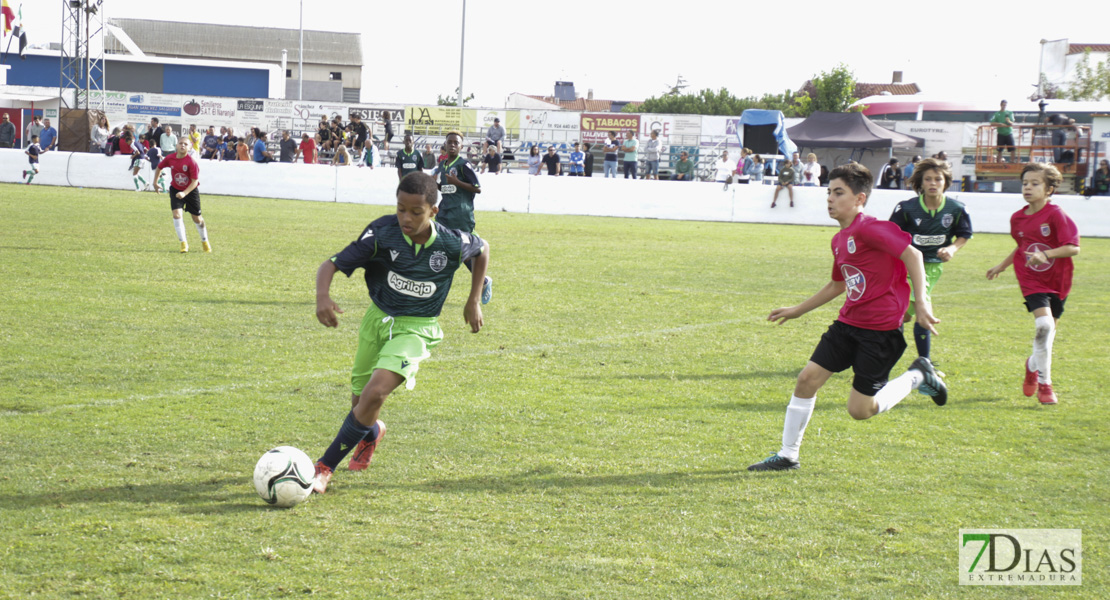 Imágenes del último día del V Torneo Internacional de fútbol infantil Ciudad de Talavera