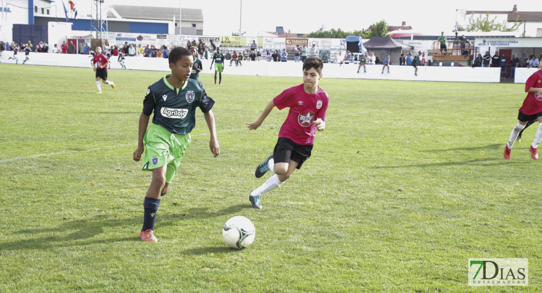 Imágenes del último día del V Torneo Internacional de fútbol infantil Ciudad de Talavera