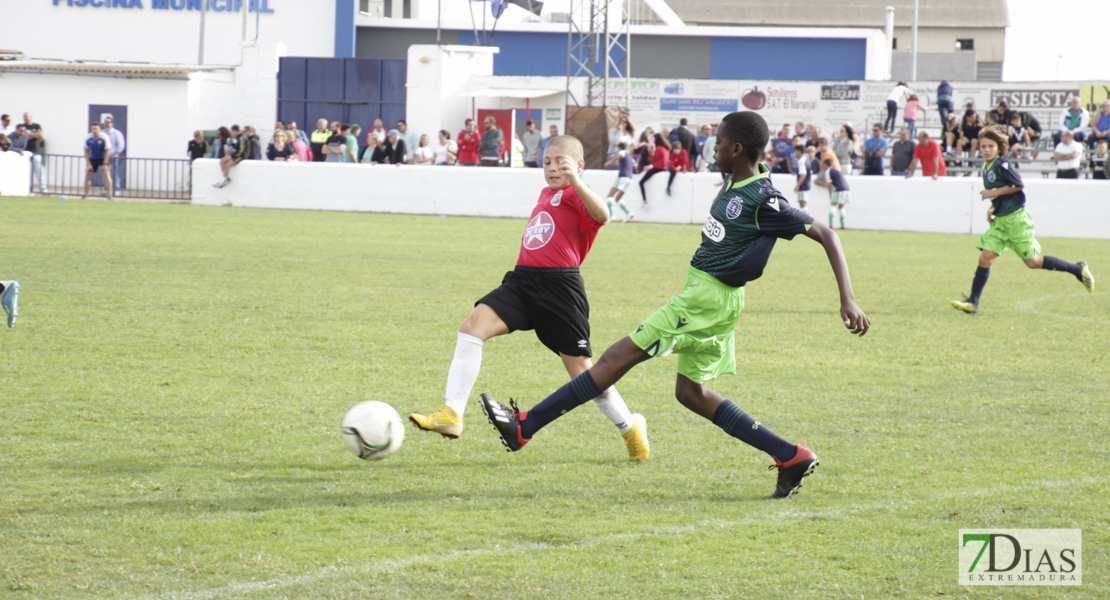 Imágenes del último día del V Torneo Internacional de fútbol infantil Ciudad de Talavera