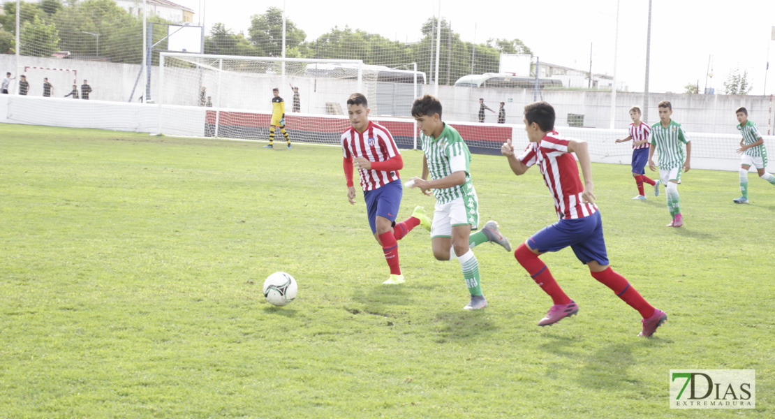 Imágenes del último día del V Torneo Internacional de fútbol infantil Ciudad de Talavera