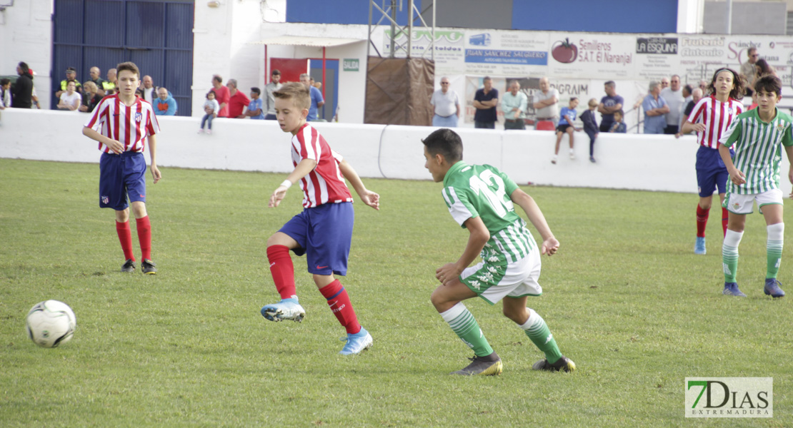 Imágenes del último día del V Torneo Internacional de fútbol infantil Ciudad de Talavera