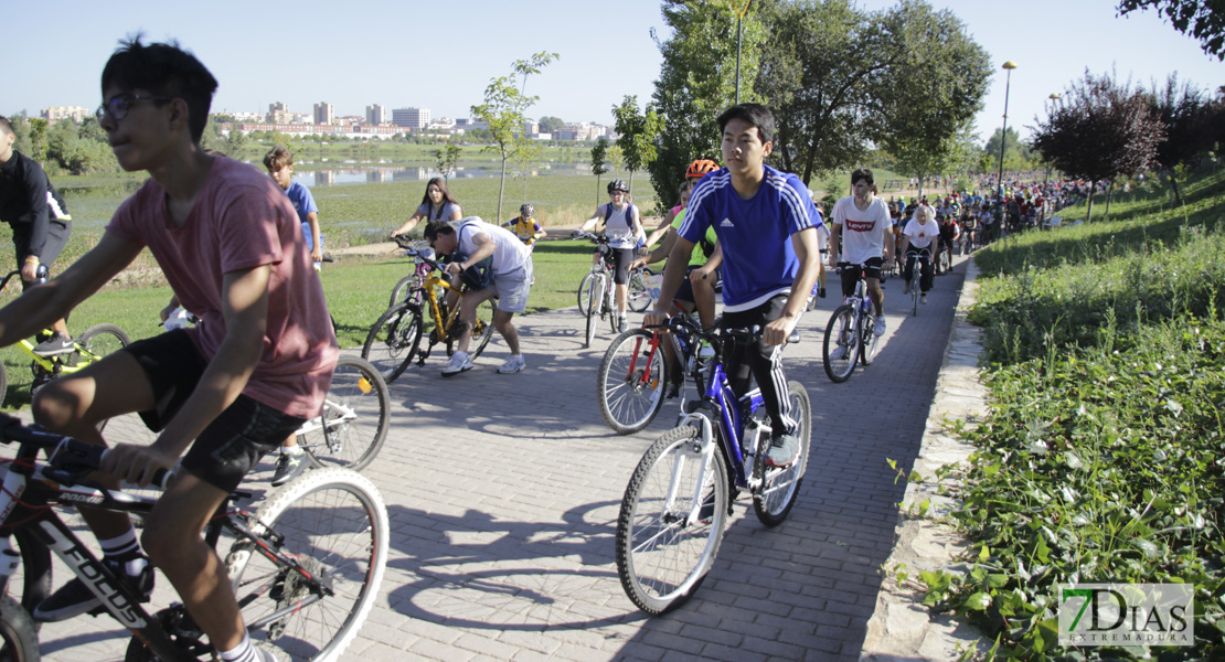 Imágenes del Día de la Bicicleta 2019 III