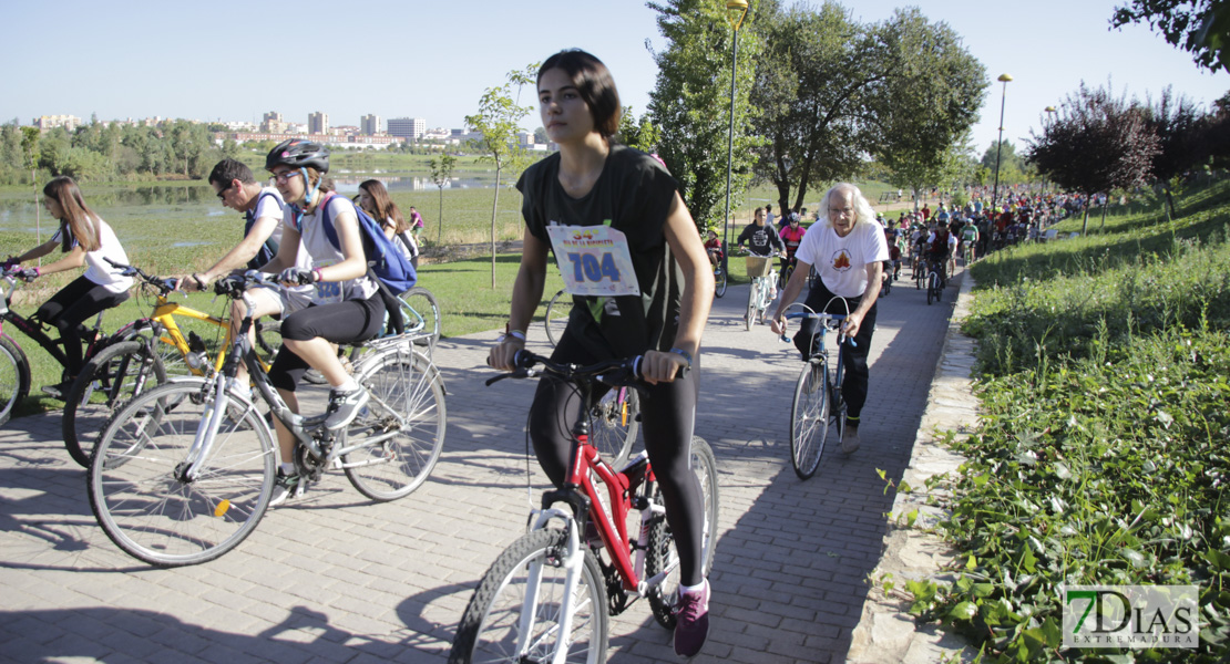 Imágenes del Día de la Bicicleta 2019 III