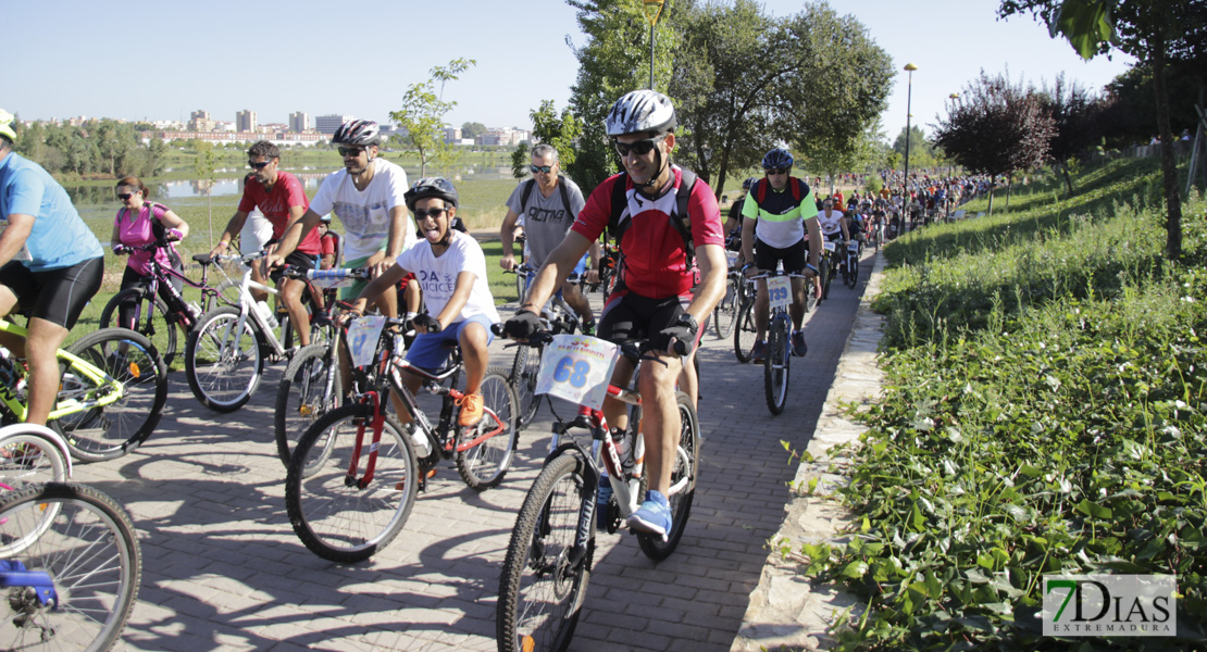 Imágenes del Día de la Bicicleta 2019 III