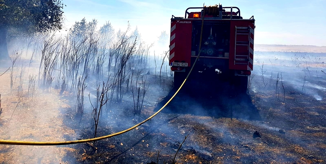 Un incendio quema 30 hectáreas entre Fregenal y Bodonal (BA)