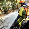 Imágenes del incendio de Alcuéscar (CC)