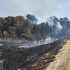 Imágenes del incendio en la Nacional 432 (Badajoz)