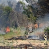 Imágenes del incendio en la Nacional 432 (Badajoz)