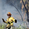 Imágenes del incendio en la Nacional 432 (Badajoz)