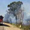 Imágenes del incendio en la Nacional 432 (Badajoz)