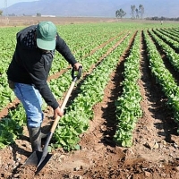 Apoyo masivo a la manifestación de los agricultores por los bajos precios