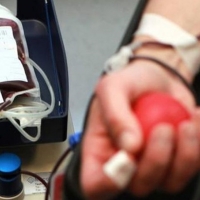 11.500 kilómetros para recoger 3700 donaciones de sangre por toda la región