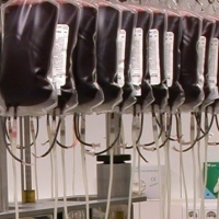 El SES destina 4 millones a la contratación del suministro de medicamentos hemoderivados