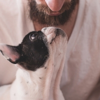 Badajoz celebra ‘La Semana y Día de los Animales’