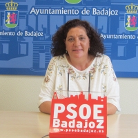 PSOE: “El tripartito convoca el Día sin Coches ‘atropelladamente’, de un día para otro”